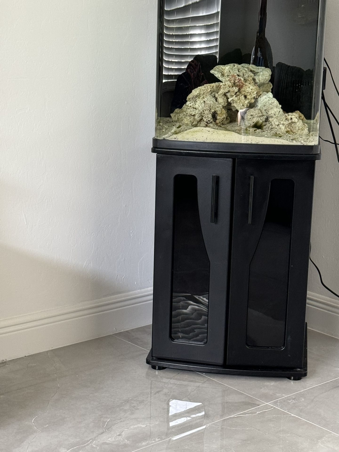 Fish Tank