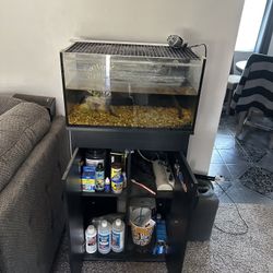 Fish Tank. Nuvo 20gallon