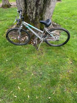 26” Schwinn mountain bike (new shifters)