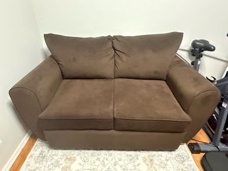 Twin Size Sofa Sleeper/Loveseat