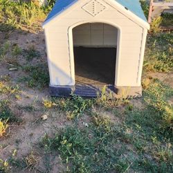 Dog House