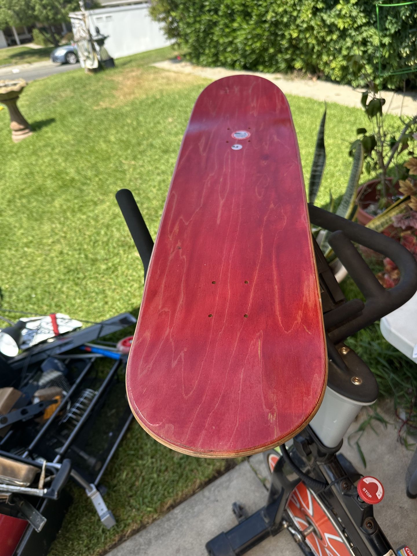 Tom Penny Flip Skateboard Reissued 8.3