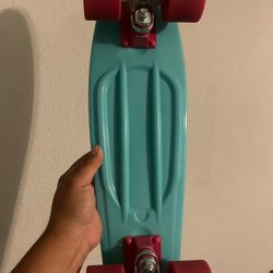 Penny Board Skateboard 