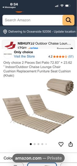 Cushion Indoor/Outdoor Chaise Lounge Chair