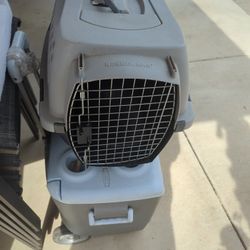 Casa De Perro Chico Está Nueva No La Use  Midi 15 De Ancho Por 1f11 De Largo X 15 De Alto Lista Para Tu Mascota 