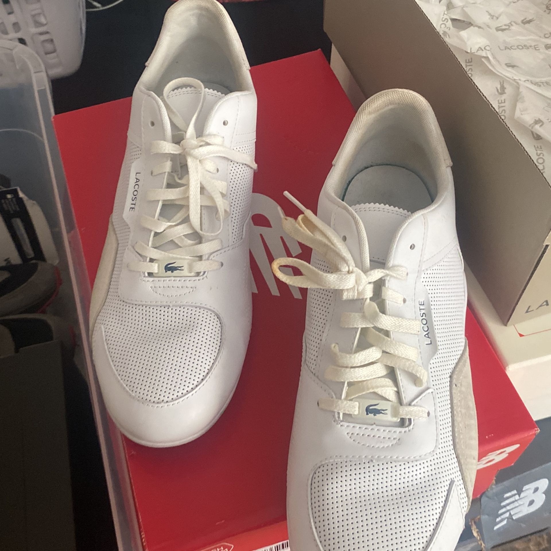 lacoste size 13 shoes