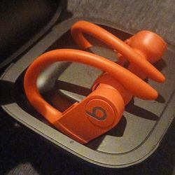Earphones