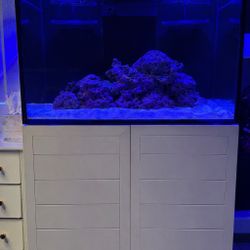 Red sea reffer 250 salt water aquarium.