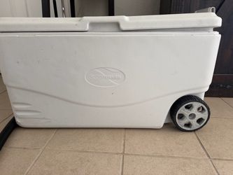 Coleman Xtreme Wheeled Cooler
