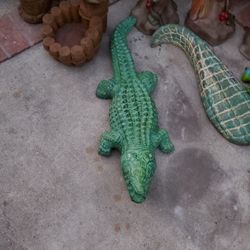 Crocodiles For Sale 