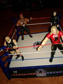 Ring con 4 luchadores