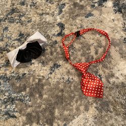 Dog  Accessories 