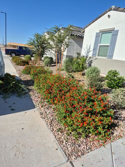 Landscaping,painting yard clean ups