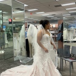 ✨ Vintage Blush Mermaid Wedding Gown – Lace, Illusion Sleeves, Chapel Train ✨