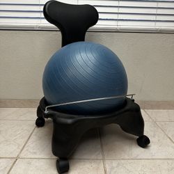 Exercise Ball Office Chair