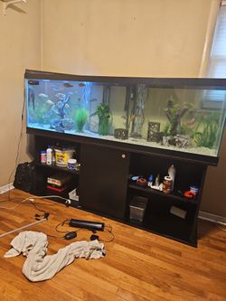 Tank And Stand