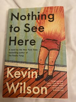 Nothing To See Here Fiction Book