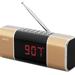 Portable Digital FM Radio + Bluetooth Speaker 