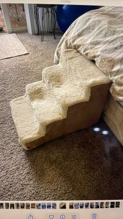Cream colored dog staircase