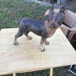 Boston Terrier Collection