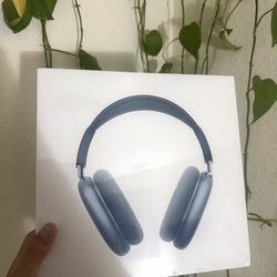 Brand New AirPod Max - Blue