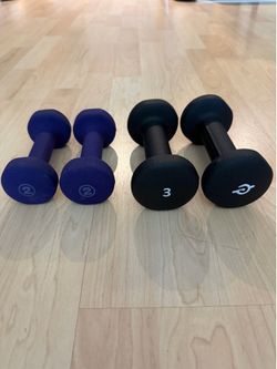 Weights 2 & 3 lbs