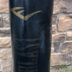 Everlast Punching Bag And Boxing Gloves