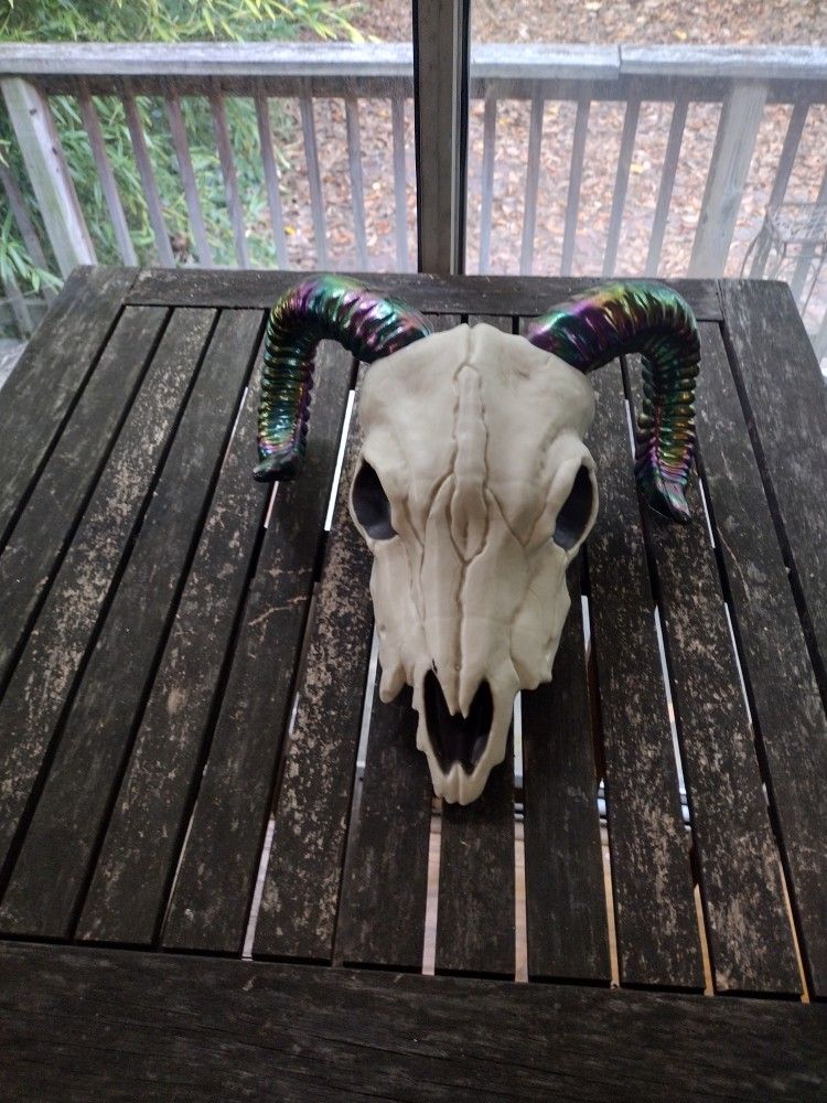 Rainbow Horn Skull