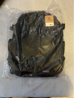 Patagonia Refugio Daypack 30L Black