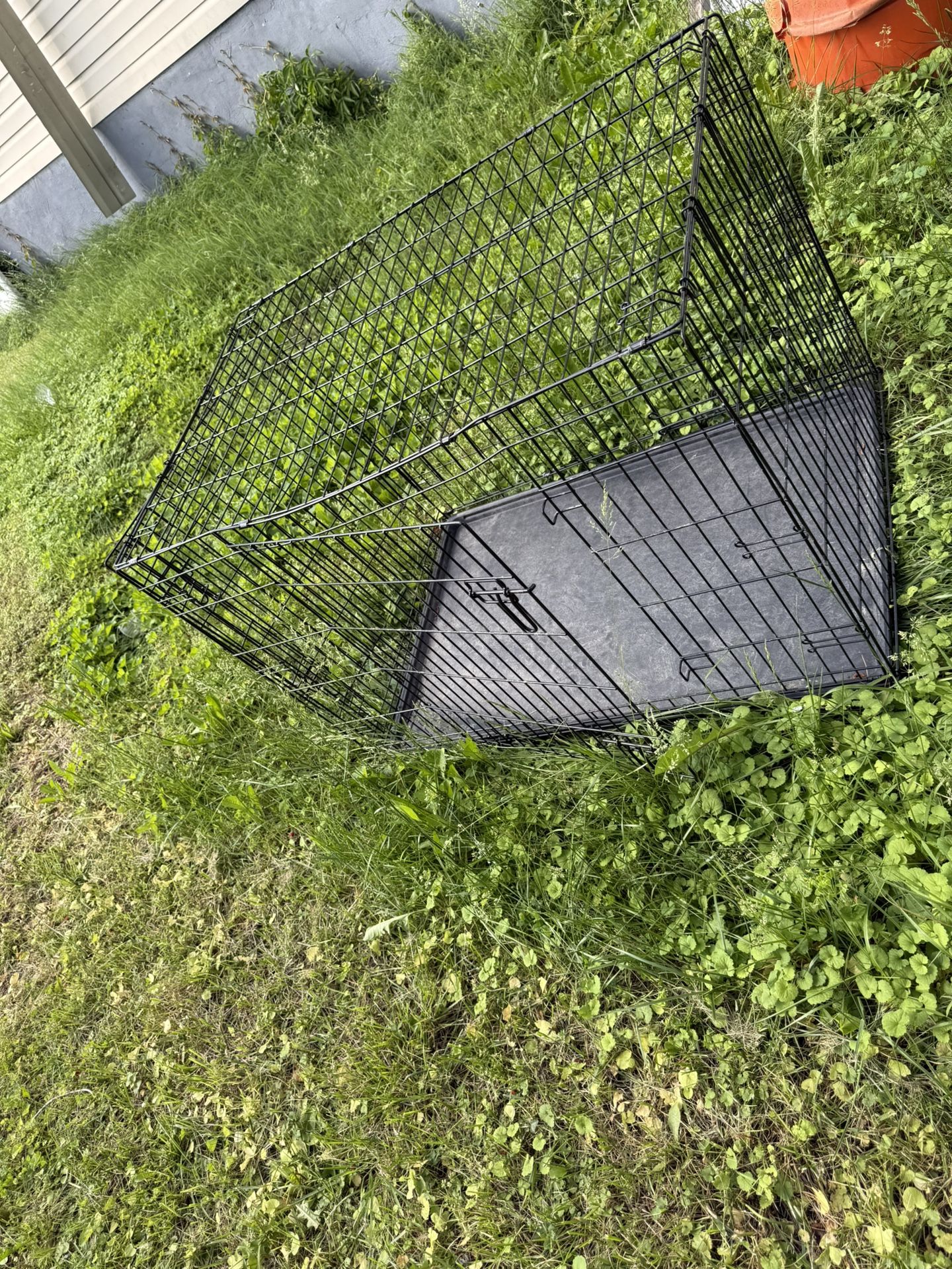 Dog Cage