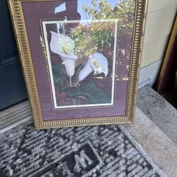 framed print or painting featuring Calla Lilies