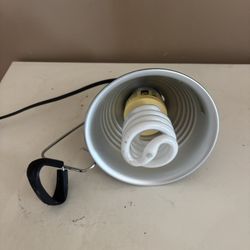 Reptile Lamp 