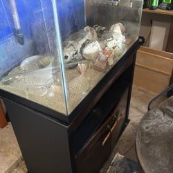 65 gallon Aquarium with Its Cabinet 