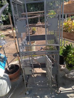 Bird Cages