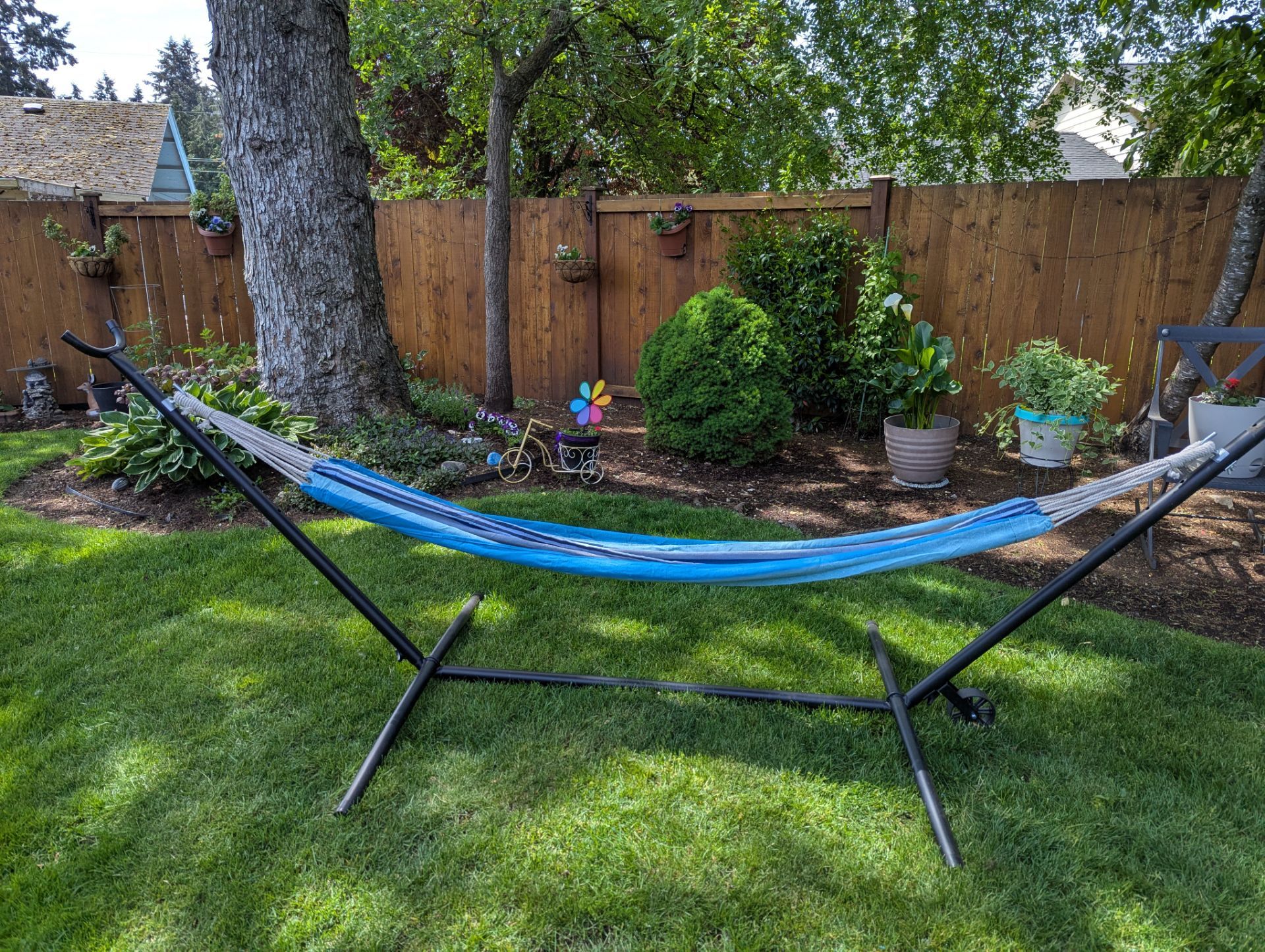 Backyard Hammock