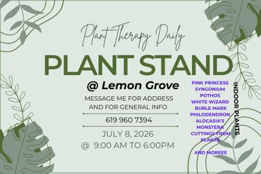 Plant Stand @ Lemon Grove area