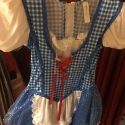 Dorothy costume