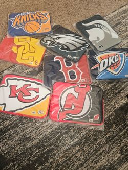 Laptop cases 15×13  $20 each
