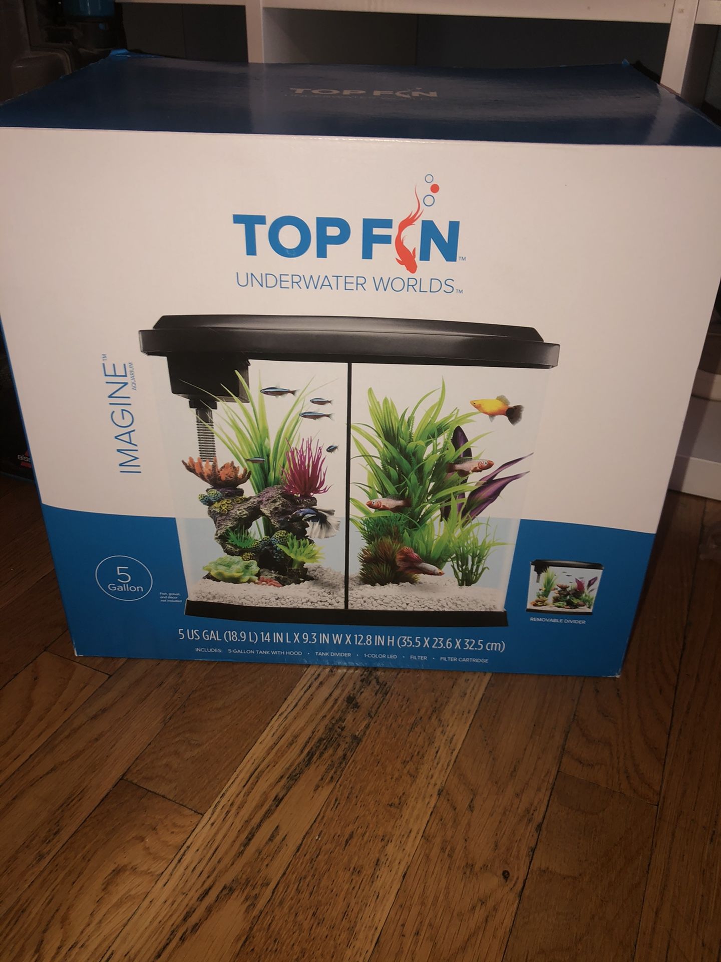 5 gallon fish tank