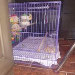 Bird Cage Deal
