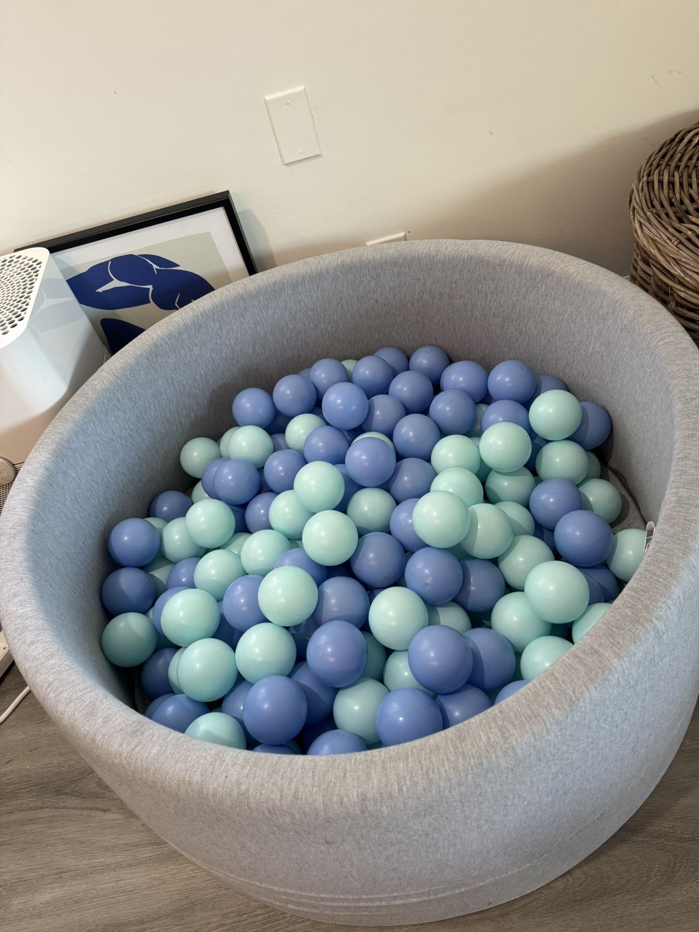 Crate and Barrel Kids Ball Pit