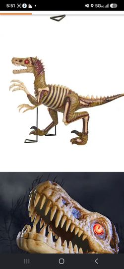 Nine foot graven , bones , velociraptor skeleton with light up eyes