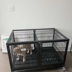Black Dog Cage