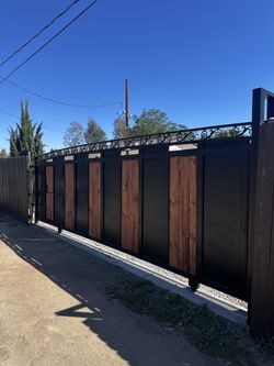 Gate with Door