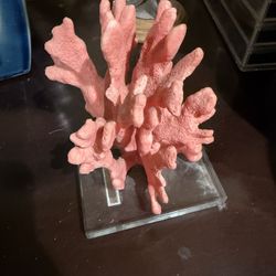 Coral House Decor