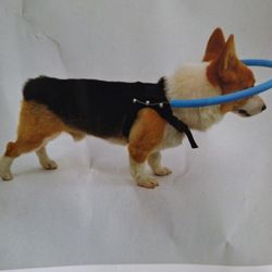 Anti Colision  Collar  Dog New