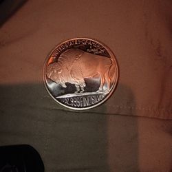 1 OZ FINE SILVER COIN(S). TODAY SALE ONLY