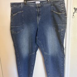Lane Bryant, Baggy Jeans