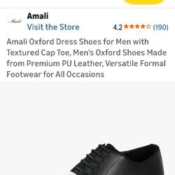 Dress Shoes Size 12