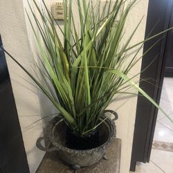 Faux Plant